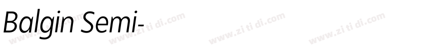 Balgin Semi字体转换 Balgin Semi字体转换